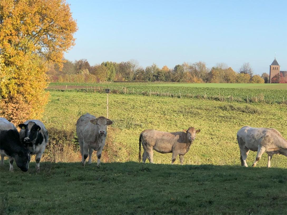 Leukderhuisje
